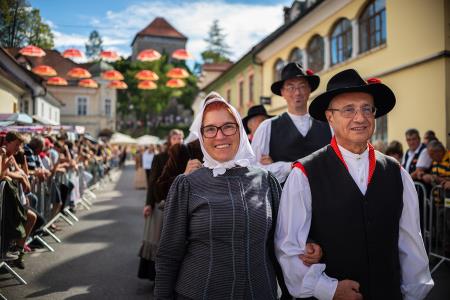 Izjemen obisk zaznamoval 50. Dneve narodnih noš in oblačilne dediščine v Kamniku (Blaž T. Muc)  (74)
